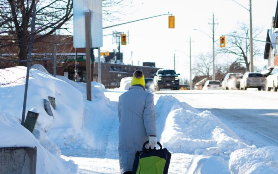 image shows an old person walking in the snow with a little trolly
