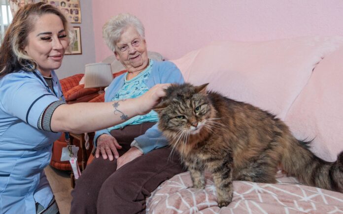 Image of a Care Assistant and an elderly lady, sat on a couch whilst petting a cat.