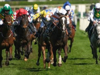 horses running at the grand national