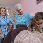 Image of a Care Assistant and an elderly lady, sat on a couch whilst petting a cat.